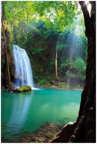 Wallario premium poster plakat - premium,