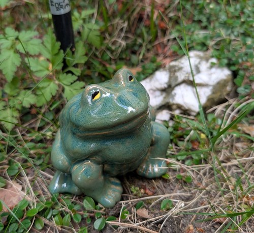 Frosch dicker keramik - frosch,