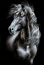 Malen nach Zahlen Pferd