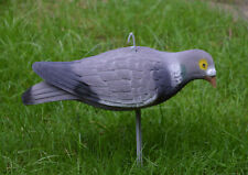 Lockvögel Taube Vollschale beflockt inkl. Erdspieß 33cm äsende Locktaube