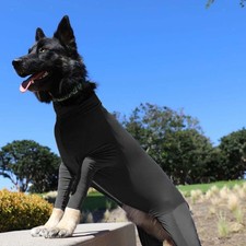 Hunde Bodysuit, Fellpflege