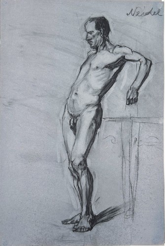 Männlicher akt stehend nude - akt,