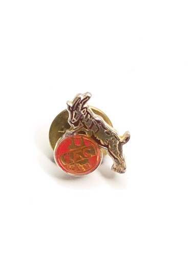 Anstecknadel pin fussball - pin, 1