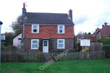 Foto 6x4 Glocken Eibe grüne