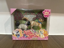 Grand champions Kutie Kitties