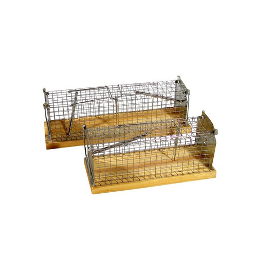 Ratten falle rattenfalle - ratten,