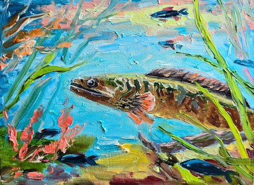 Aal fisch ölbild - fisch, 20x15