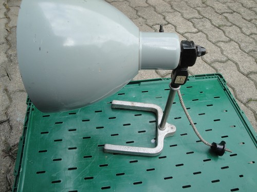 Uralte