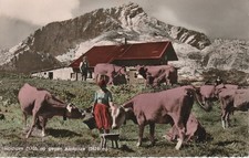 AK Garmisch-Partenkirchen, Alpiner Kunstverlag Hans Huber (Nr. 4201), gel. 1956