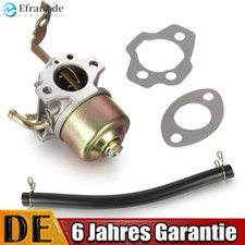 Generator Vergaser für Robin