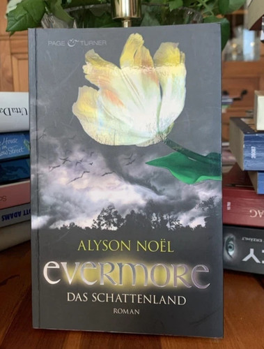 Evermore das schattenland - evermore,
