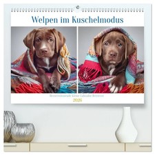 Welpen im Kuschelmodus - Herzerwärmende kleine Labrador Retriever...