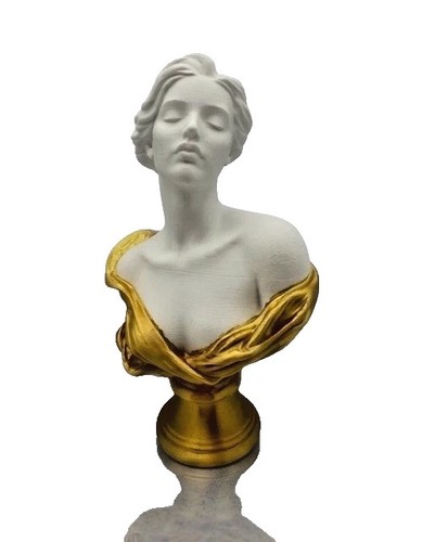 Frauenbüste elegante - frauenbüste,