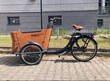 Babboe Curve E + Zubehör