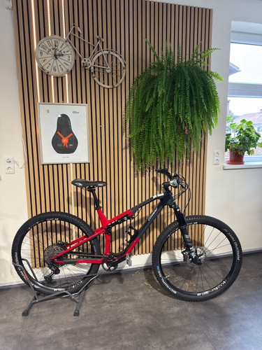 Mtb carbon fully zoll - carbon, 29