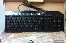 Acer ARABIC + ENGLISH Keyboard PS/2 Tastatur KB.PS203.288, Schwarz / Black, NEU