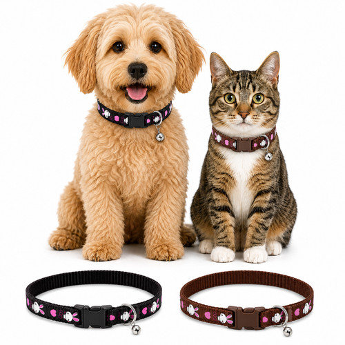 Hundehalsband katzenhalsband - hundehalsband,