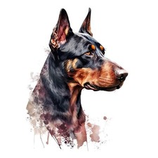 Dobermann Auto Aufkleber 9X9 cm Hunde Sticker