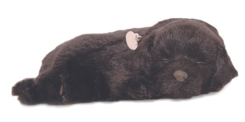 Edler petzzz atmender - edler,