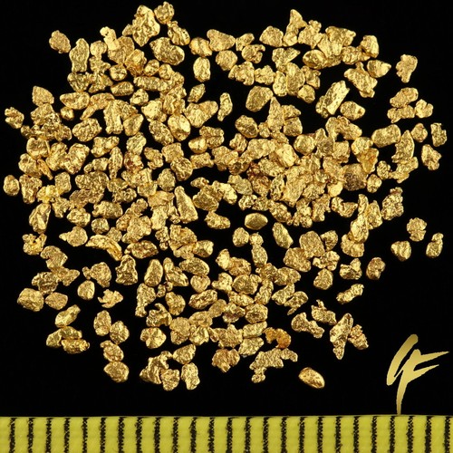 Gramm gold nuggets alaska 1 - ,
