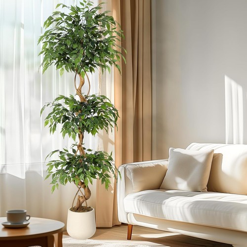 Künstlicher ficusbaum groß - künstlicher,