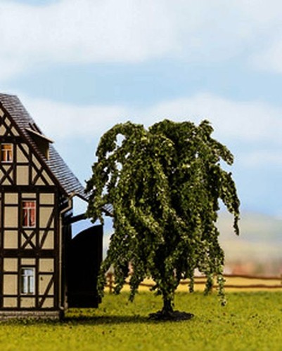 Noch trauerweide - noch,