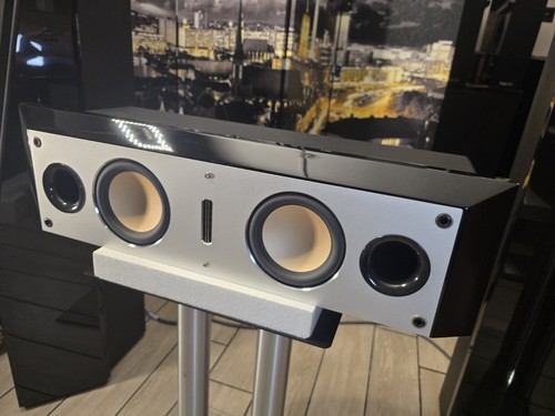 Swans t600 c ii - ⭐️,