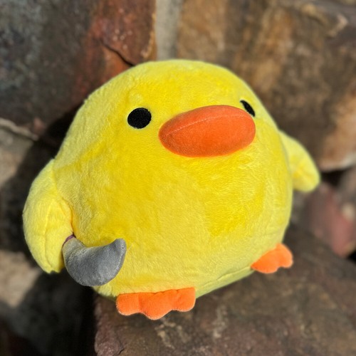 Nette ente mit messer - mit,