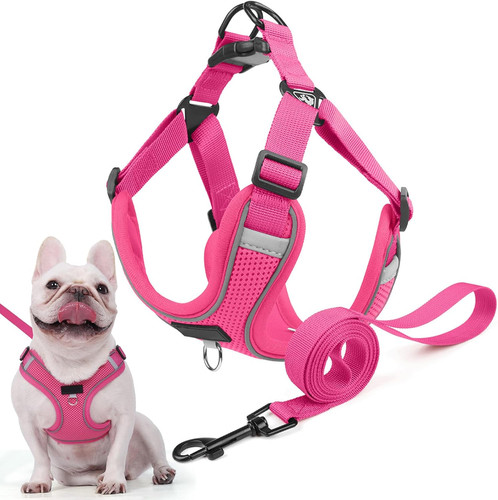 Hundegeschirr für kleine - hundegeschirr,
