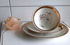 Sammeltasse Gedeck 3 teilig Winterling Röslau Bavaria Vintage Goldrand Porzellan