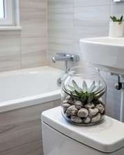 Kunstplanzen im Glas  Kaktus