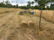 Mini Heuballen - Naturschutzheu für Kleintiere & Nager 