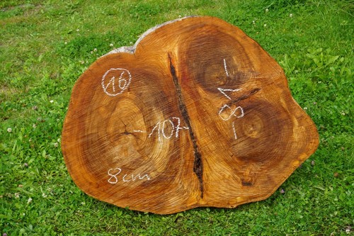 Baumscheibe xxl holzscheibe - baumscheibe,