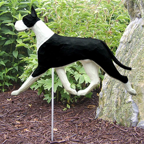 Dänische dogge außen - dänische,