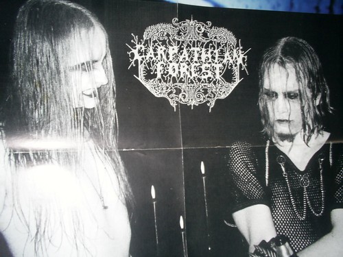 Carpathian forest vintage - carpathian,