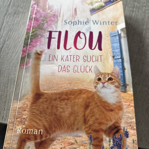 Filou ein kater sucht das - ein,