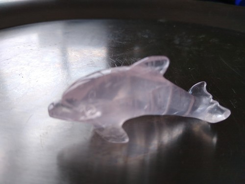Delfin delphin aus - /,