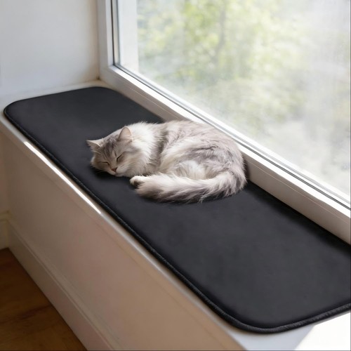 Katzen fensterliege - katzen,