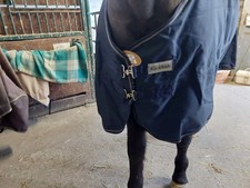 Kavalkade Outdoor Decke