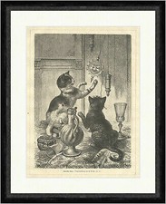 Spielende Katzen Specht Tiere