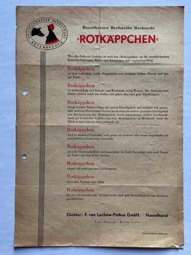 Lochow petkus herbstrübe - lochow-petkus,