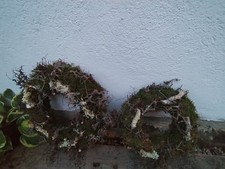 Kranz aus Bonsai-Zweigen, Ø