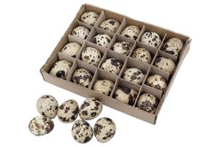 24 STK Wachteleier Natur