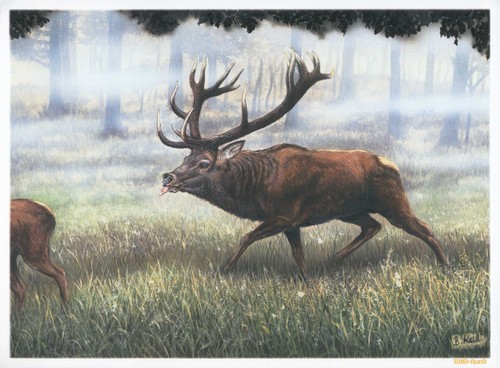 Kunstbeilage jagdliche - kunstbeilage,