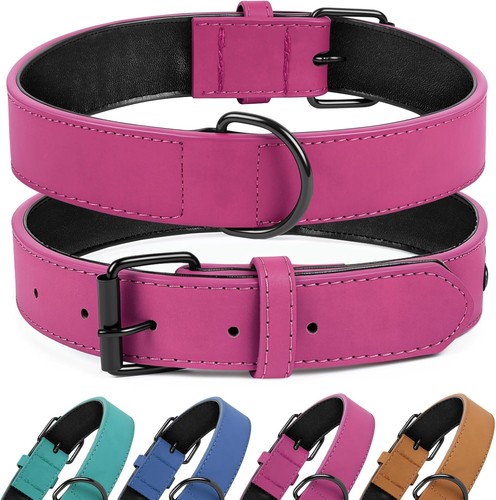 Hundehalsband leder lila - hundehalsband,