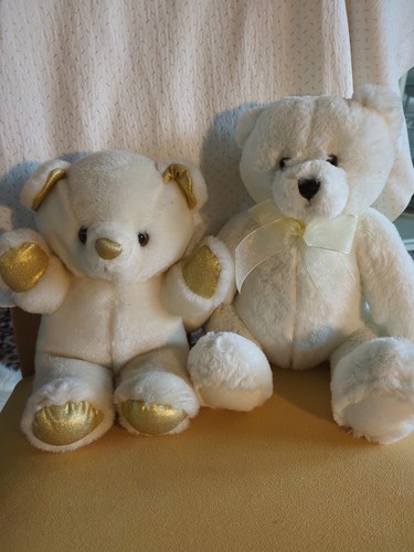 Teddybär konvolut - teddybär,