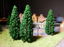 5 dunkelgrüne Tannen