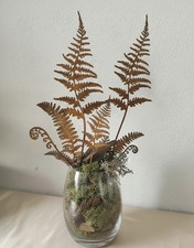 10 tlg Set Farn Edelrost