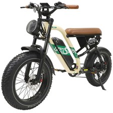 20Zoll Elektrofahrrad 250W 48V