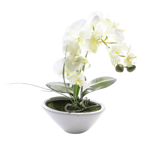 Künstliche orchidee topf - orchidee,
